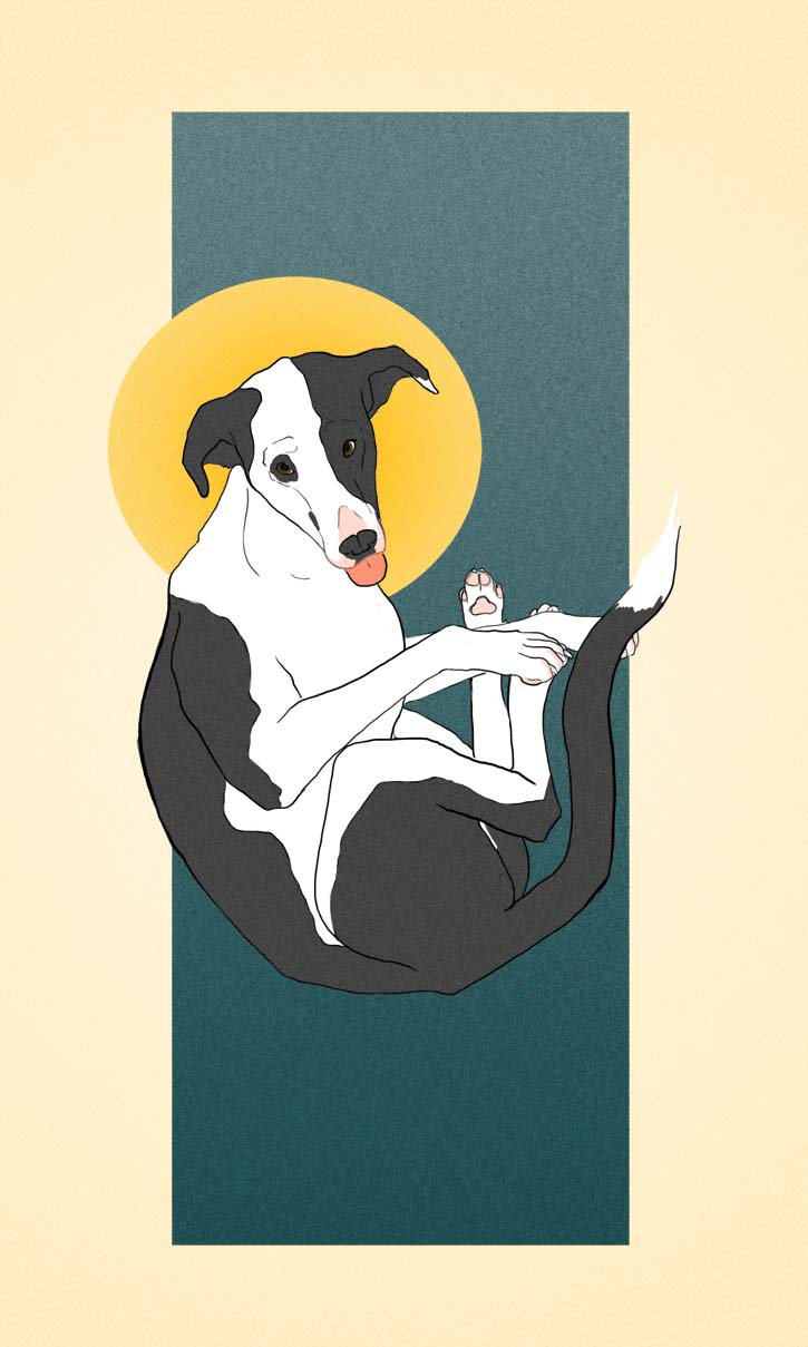 Digital drawing of a black and white spotted dog floating in a half-curled pose with a halo behind his head