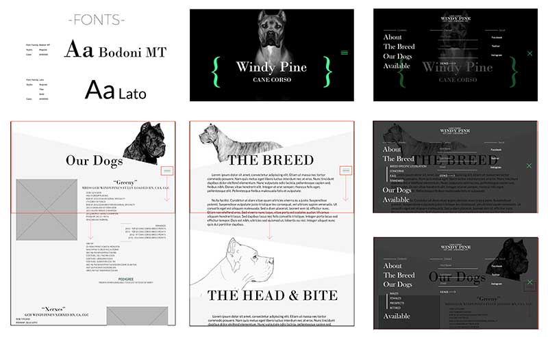 Website for a Dog Breeder