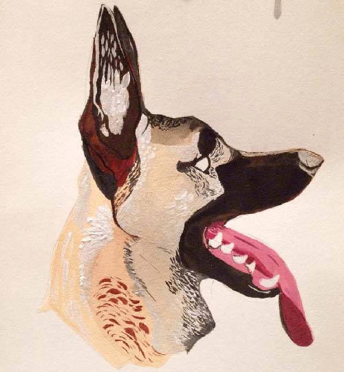 Gouache profile of a Malinois dog with mouth wide open, panting, and white eyes 